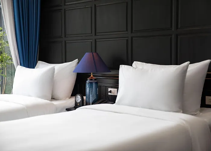 Rosy Cruises 5*